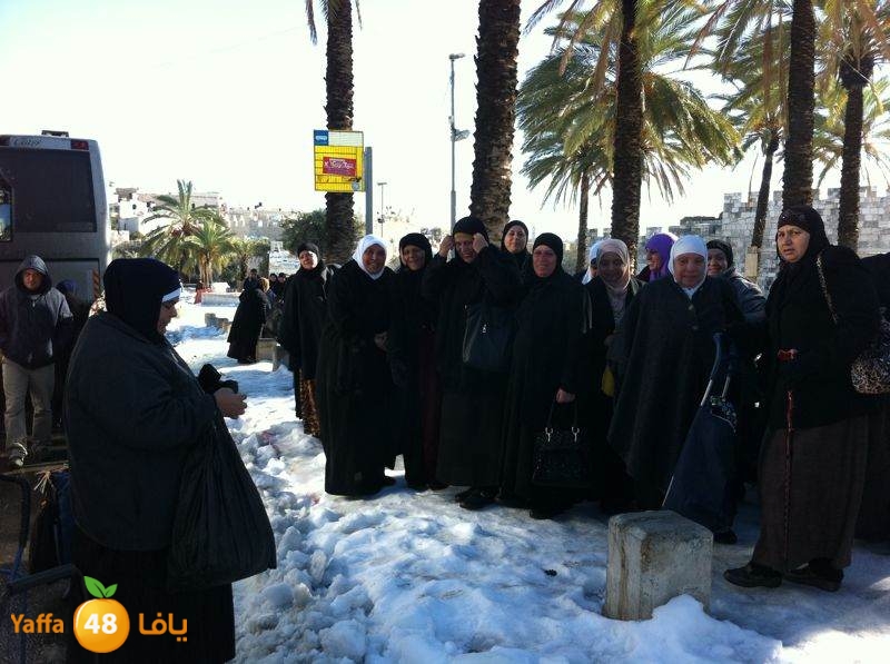 yaffa byareq (15).jpg